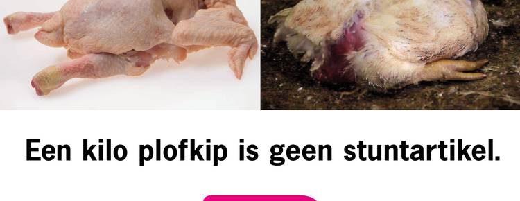 Hoe de plofkip uitsterft in de supermarkt | Effie Awards Nederland