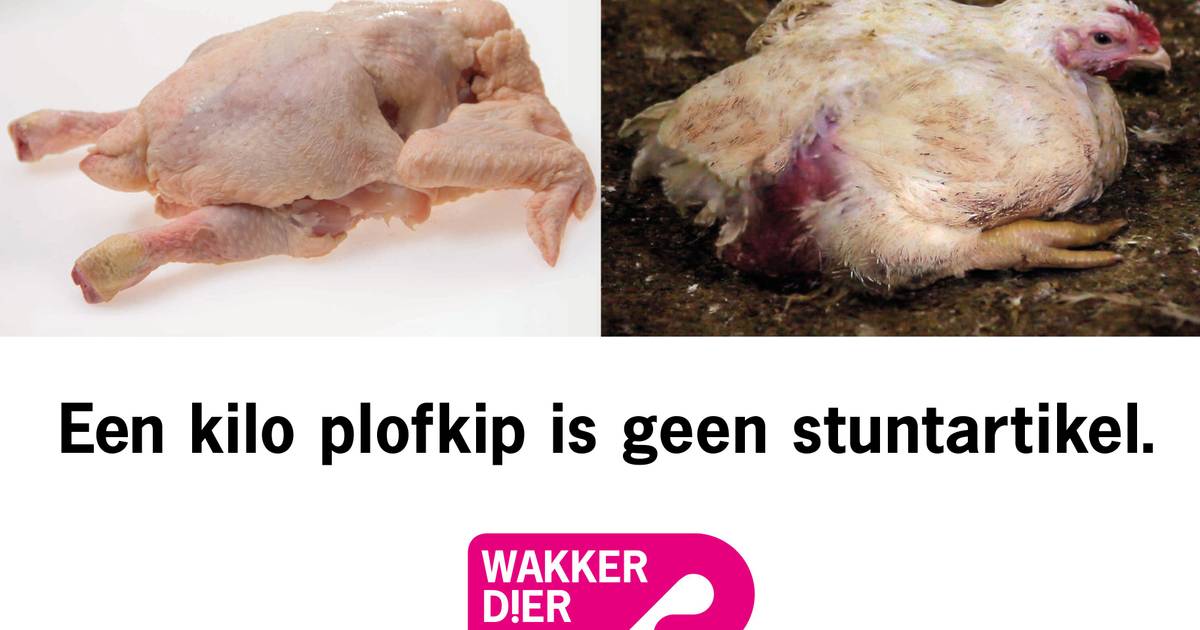 Hoe de plofkip uitsterft in de supermarkt | Effie Awards Nederland