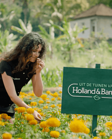 Effie_20_Uit de tuinen van Holland & Barrett; een merk- en productbelofte in één..png