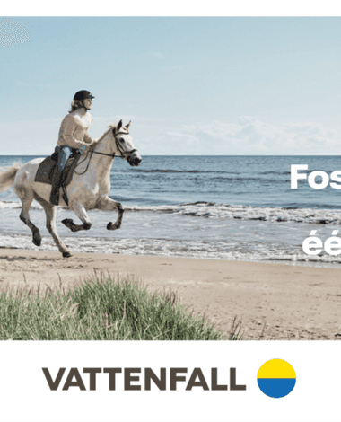 Effie_20_NUON wordt Vattenfall. Een huiskamernaam verdwijnt purpose verschijnt.png